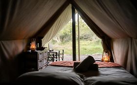 Quatermain'S 1920'S Safari Camp - Amakhala Game Reserve