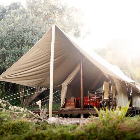 Quatermain'S 1920'S Safari Camp - Amakhala Wildreservaat Buitenkant foto
