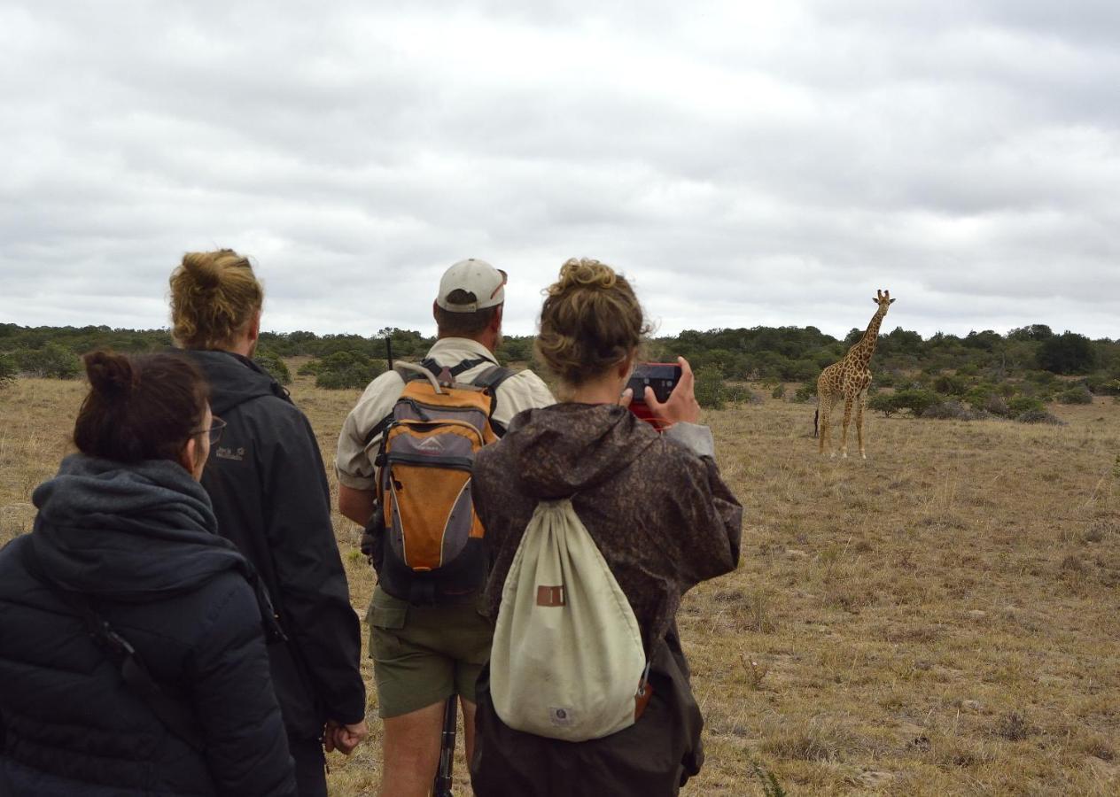 Quatermain'S 1920'S Safari Camp - Amakhala Wildreservaat Buitenkant foto