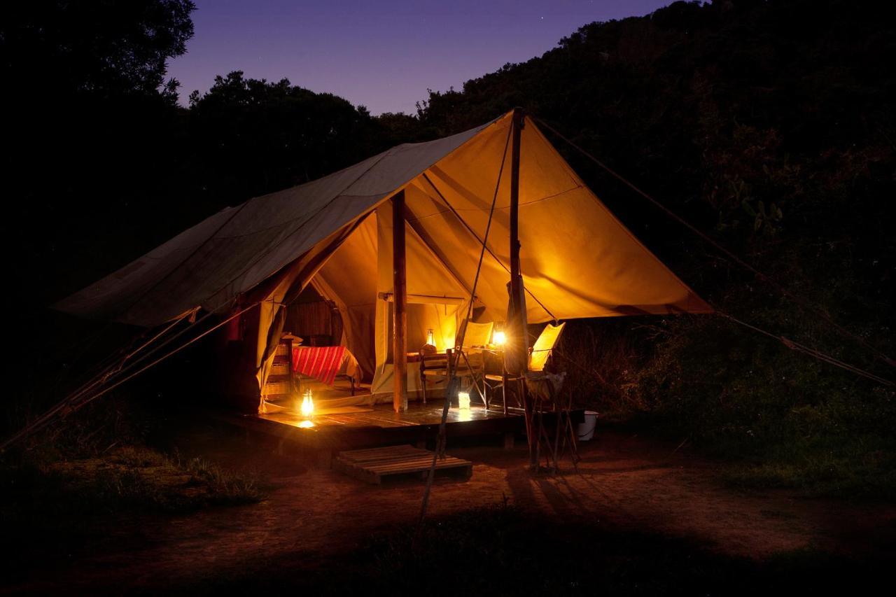 Quatermain'S 1920'S Safari Camp - Amakhala Wildreservaat Buitenkant foto