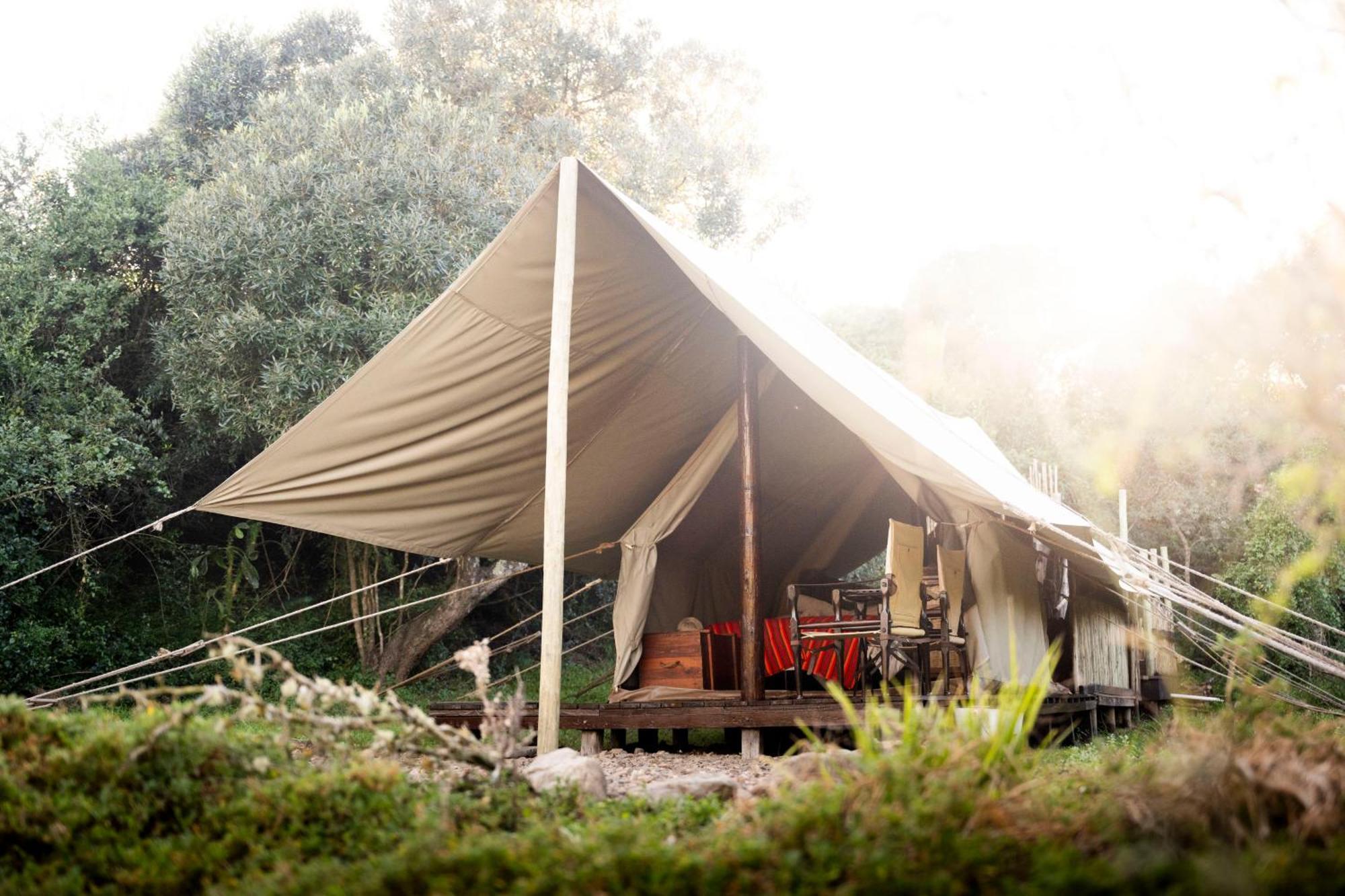 Quatermain'S 1920'S Safari Camp - Amakhala Wildreservaat Buitenkant foto