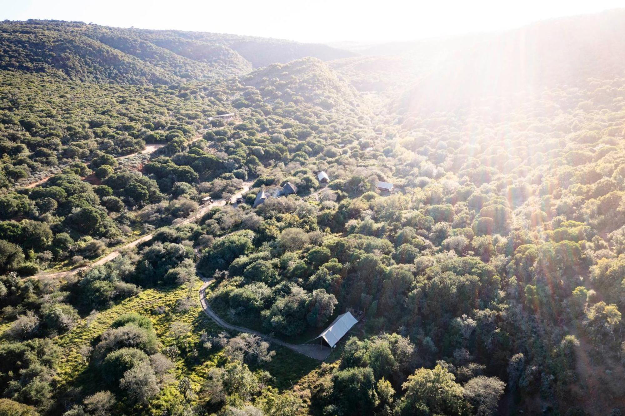 Quatermain'S 1920'S Safari Camp - Amakhala Wildreservaat Buitenkant foto