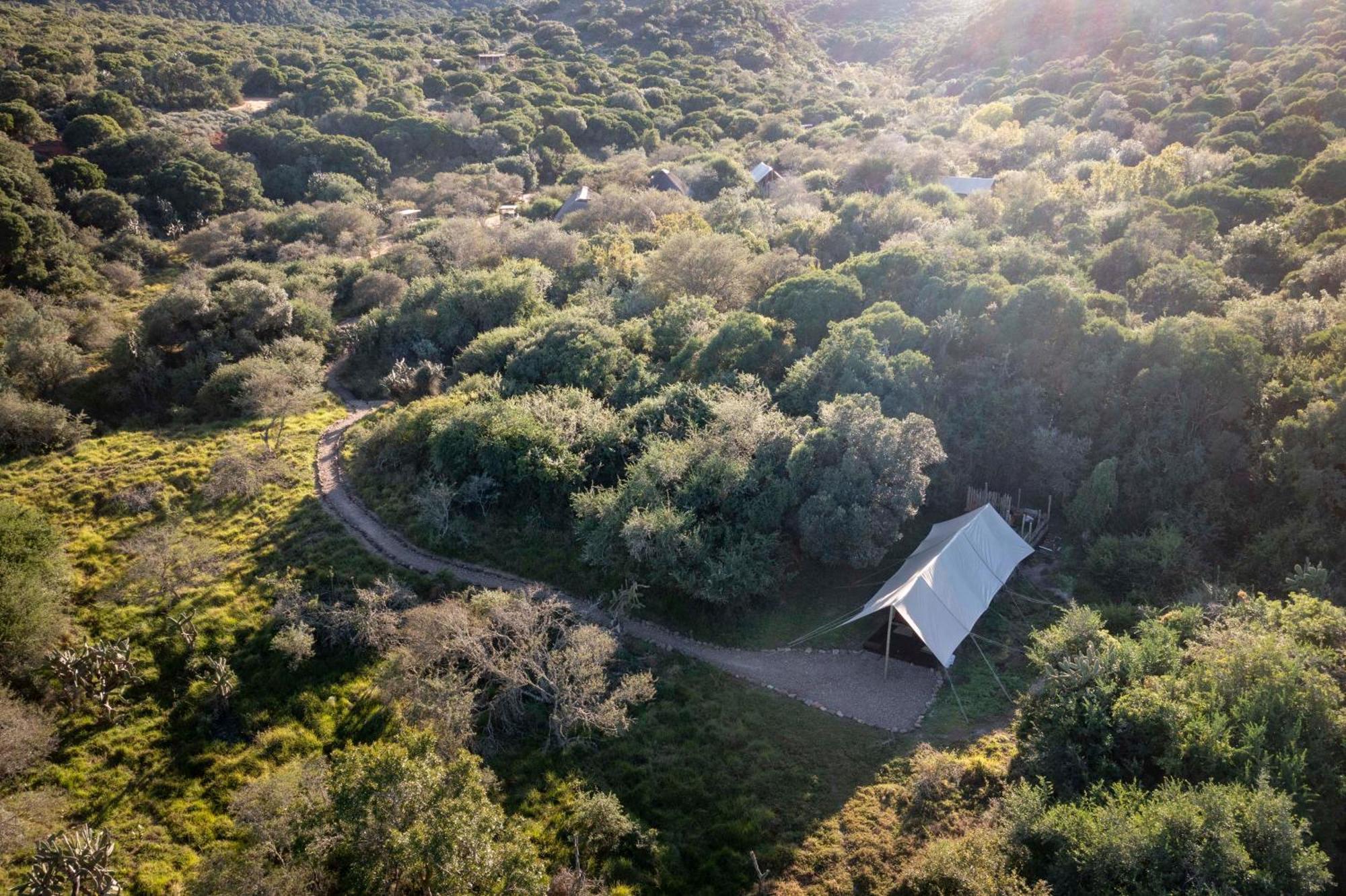 Quatermain'S 1920'S Safari Camp - Amakhala Wildreservaat Buitenkant foto