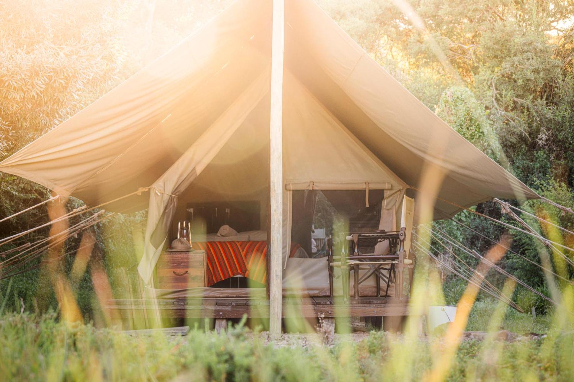 Quatermain'S 1920'S Safari Camp - Amakhala Wildreservaat Buitenkant foto