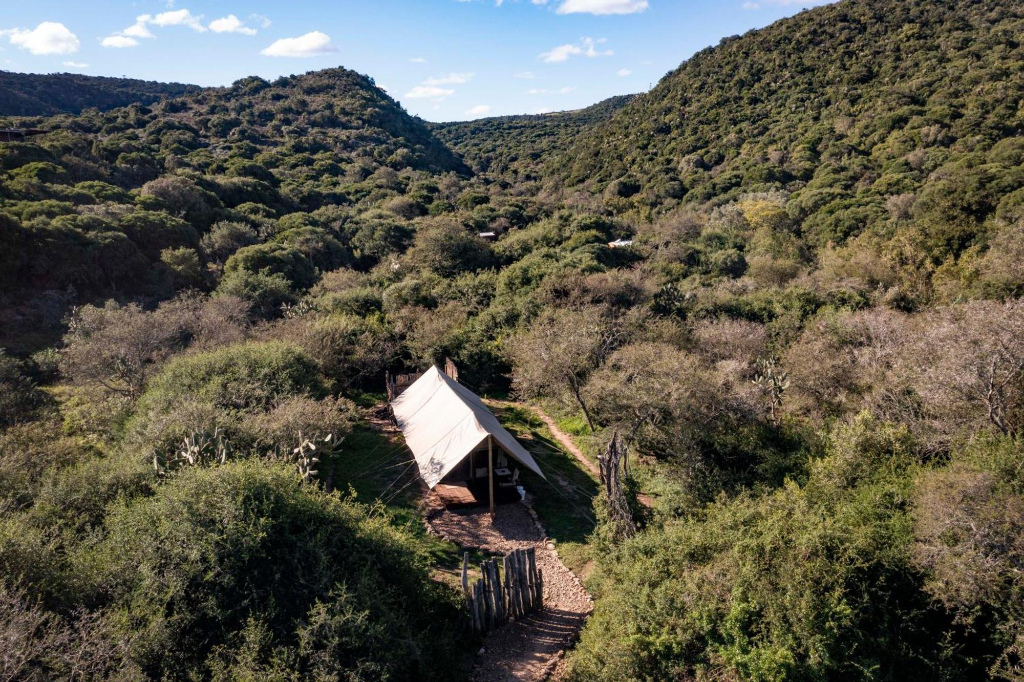 Quatermain'S 1920'S Safari Camp - Amakhala Wildreservaat Buitenkant foto
